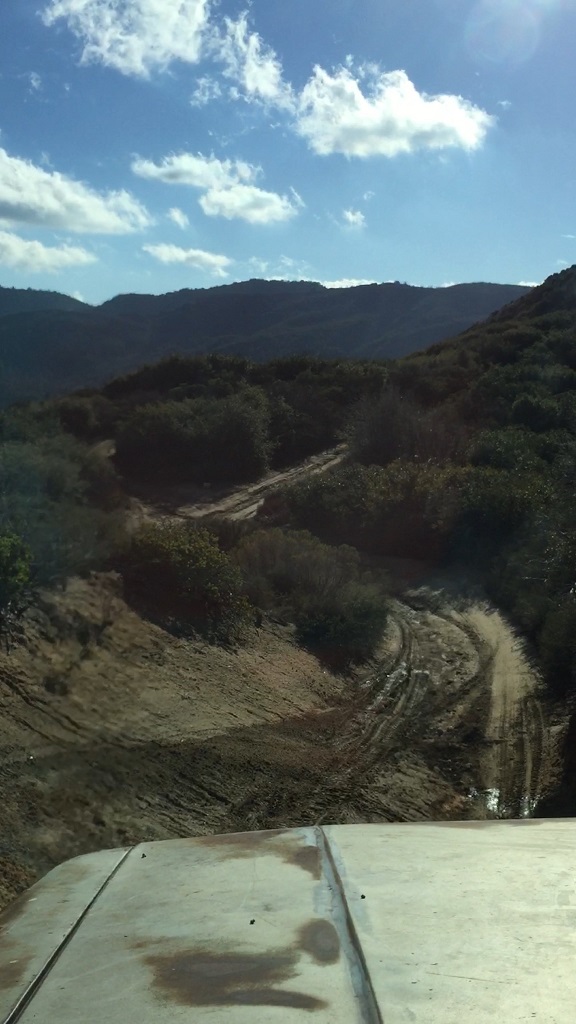 Cleghorn 2-2019 (1).jpg